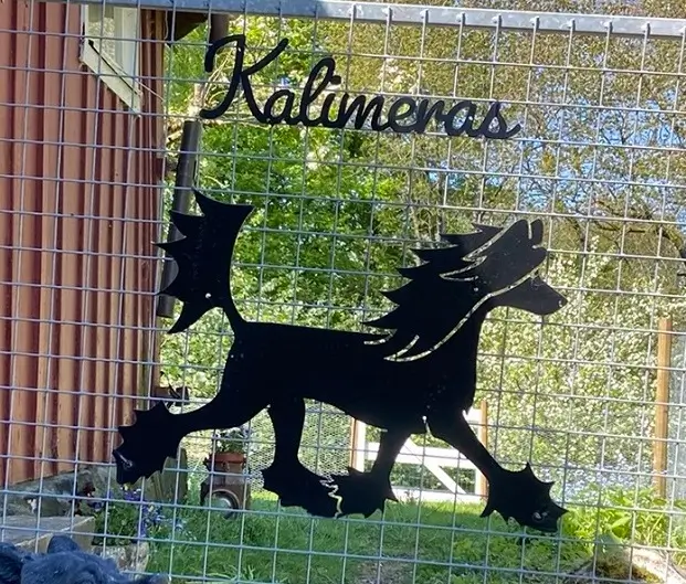 Foto på en svart Kalimeras hundtrim logotyp föreställande en hund