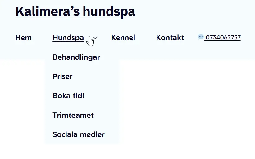 bild på hemsidan meny där man finner behandlingar och priser samt kontakt.