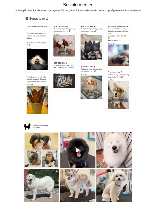 Bild på sociala medier sidan på den nya hemsidan som vi skapat för vårt hundtrim.
