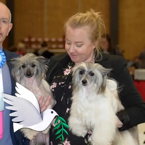 Bild på hundfrisören Sara som startade Kalimeras hundspa & kloklippning